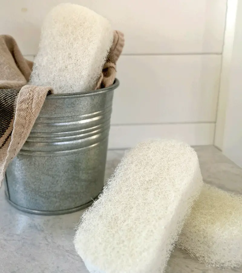 974-un-Brosse-chasse-tache.webp