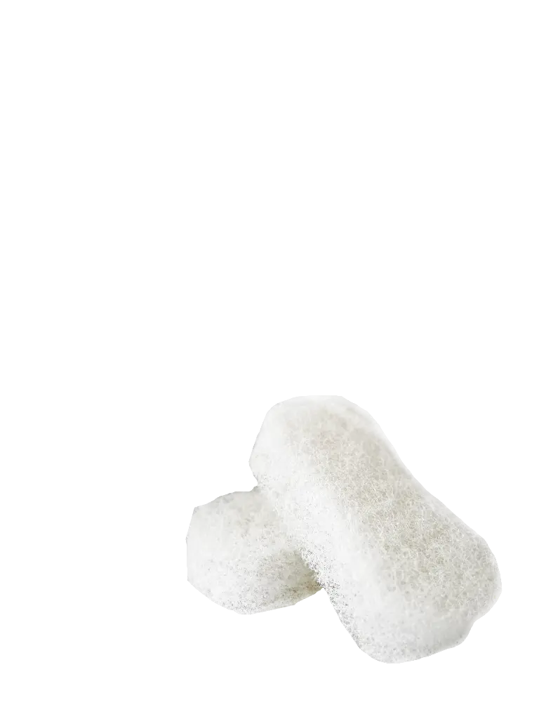 Stain Remover Sponge Reusable (un.)